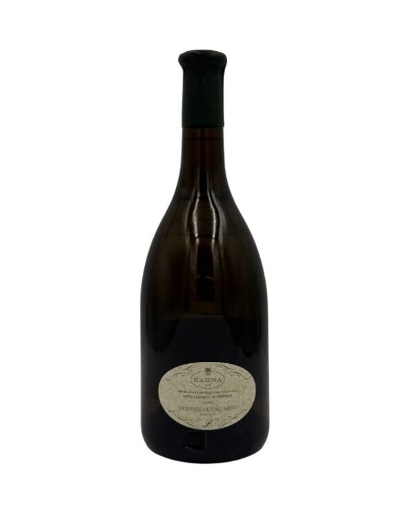 Retro della bottiglia di de Ladoucette Baron de L 2022 con un'etichetta ovale color crema che riporta il nome della cuvée "SAGNA", informazioni sul produttore "de Ladoucette - CHATEAU DU NOZET - FRANCE" e sull'importatore "BEVILACQUA TORINESE".