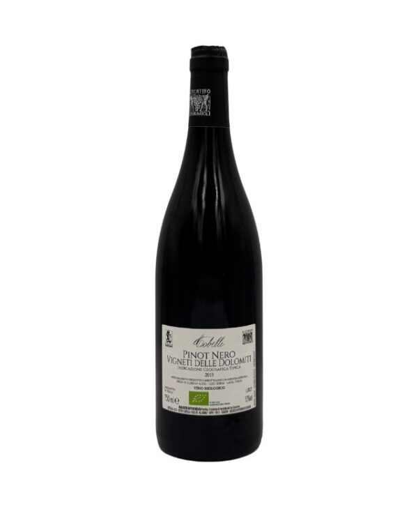 Retro della bottiglia di Eredi di Cobelli Aldo ERT con un'etichetta che riporta il nome del produttore "Cobelli", la denominazione "PINOT NERO VIGNETI DELLE DOLOMITI Denominazione di Origine Controllata", l'annata "2019" e la menzione "PRODOTTO BIOLOGICO". Sono presenti anche informazioni aggiuntive e certificazioni biologiche.