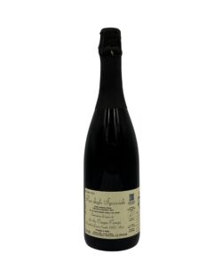 Bottiglia di vino frizzante biologico Aia delle Cinque Campi Rio degli Sgoccioli 2022 con un'etichetta .