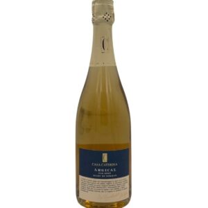 Bottiglia di spumante Casa Caterina Argical Blanc de Noirs con etichetta blu scuro che evidenzia il logo "Casa Caterina" in bianco e la dicitura "ARGICAL BLANC DE NOIRS".