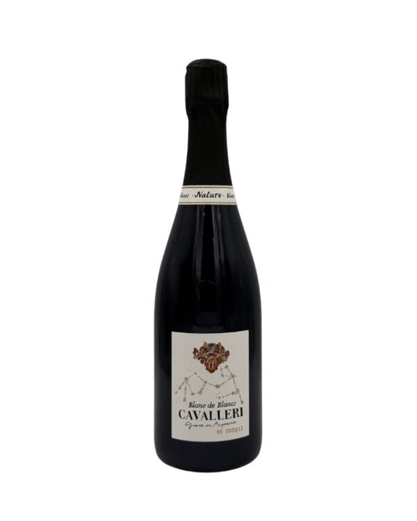 Bottiglia di Franciacorta Cavalleri Blanc de Blancs Brut Nature 2017 con etichetta chiara che evidenzia il logo "Cavalleri" in oro e la dicitura "Blanc de Blancs" in alto e "Brut Nature" sul collo.