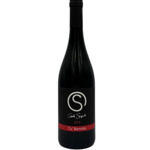 Bottiglia di vino rosso C'aleste Sorgente Rosso 2016 con etichetta nera e un grande simbolo "S" stilizzato bianco, la scritta "C'aleste Sorgente", l'annata "2016" e "Ca' Barnaba" su una banda rossa inferiore.