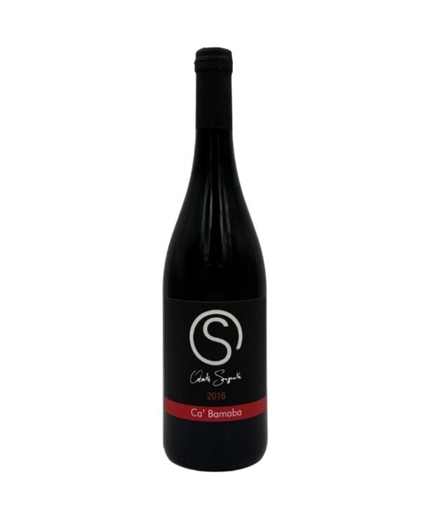 Bottiglia di vino rosso C'aleste Sorgente Rosso 2016 con etichetta nera e un grande simbolo "S" stilizzato bianco, la scritta "C'aleste Sorgente", l'annata "2016" e "Ca' Barnaba" su una banda rossa inferiore.